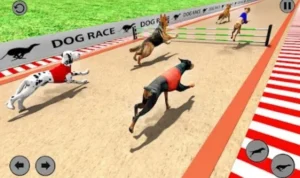 Đua Chó Tại Fafa191
