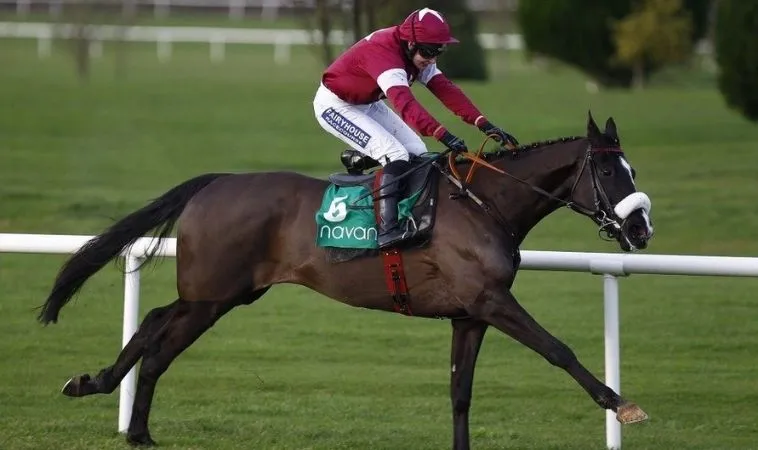 Cần tìm hiểu kỹ về bộ môn đua ngựa Fafa191 trước khi cá cược